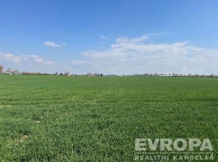 Prodej pozemku, zemědělská půda, 7 494 m²