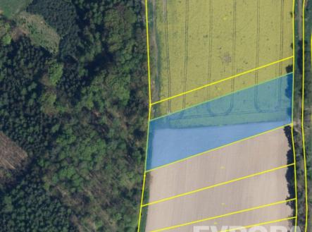 Prodej pozemku, zemědělská půda, 7 494 m²