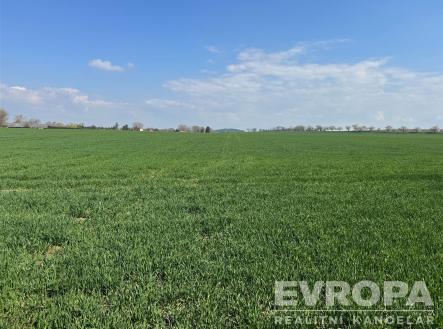 Prodej pozemku, zemědělská půda, 7 494 m²