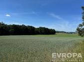 Prodej pozemku, zemědělská půda, 7 494 m²