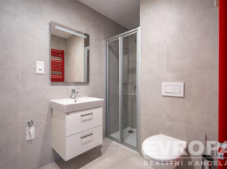 Pronájem bytu, 4+1, 68 m²