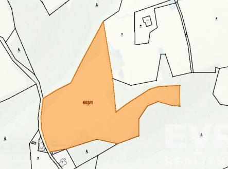 Prodej pozemku, trvalý travní porost, 19 881 m²