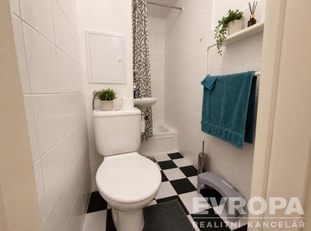 Pronájem bytu, 1+kk, 19 m²
