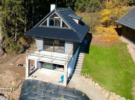 Orchid Casel de Paradise.