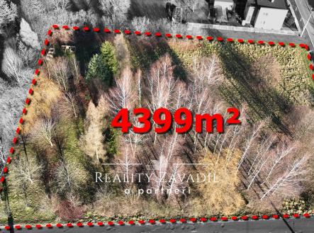 Prodej pozemku pro bydlení, 4 399 m²