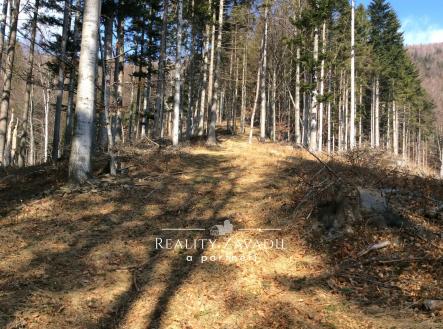 Prodej pozemku, les, 27 814 m²