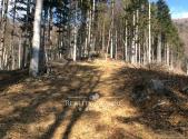 Prodej pozemku, les, 27 814 m²