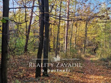 Prodej pozemku, les, 27 814 m²