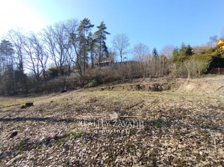 Prodej pozemku, zahrada, 934 m²