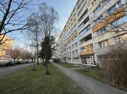 Pronájem bytu, 1+kk, 30 m² obrázek