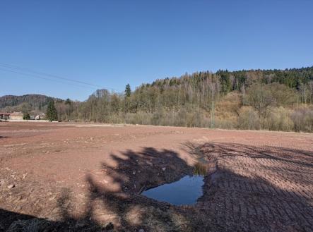 Pronájem pozemku pro komerční výstavbu, 5 000 m²