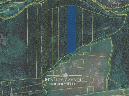 Prodej pozemku, les, 11 917 m²