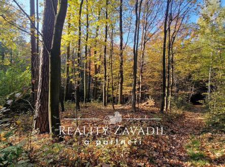 Prodej pozemku, les, 11 917 m²