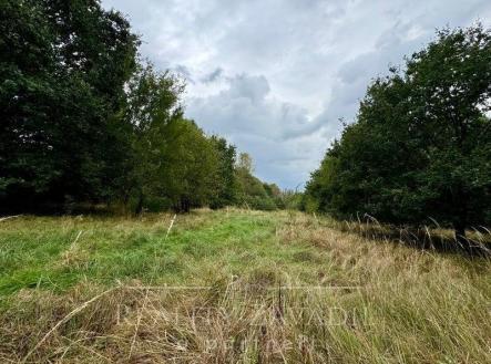 Prodej pozemku, trvalý travní porost, 3 072 m²