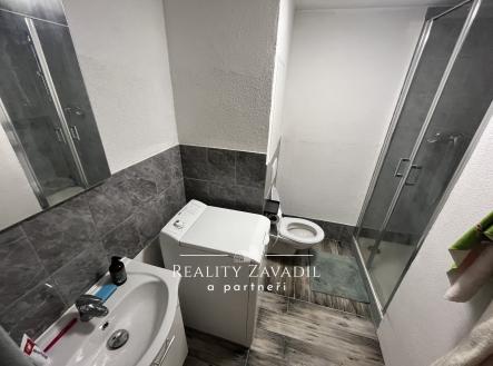 Pronájem bytu, 1+1, 45 m²