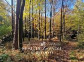 Prodej pozemku, les, 25 462 m²
