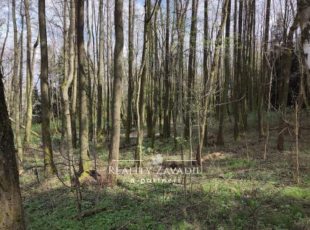 Prodej pozemku, les, 8 504 m²
