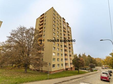 Prodej bytu, 2+1, 60 m²