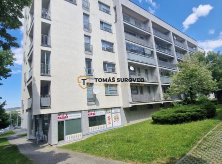 Pronájem bytu, 1+kk, 38 m²