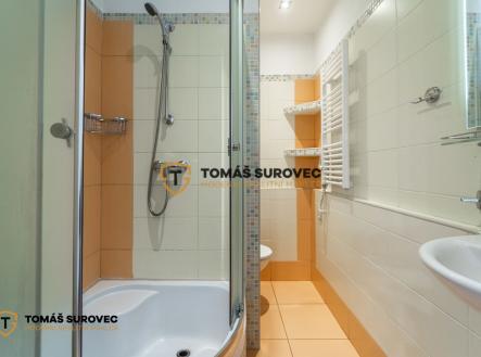 Prodej bytu, 1+1, 35 m²