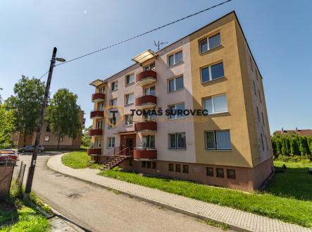 prodej-bytu-3-1-zahradni-valasske-mezirici-12.jpg