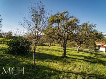 Prodej pozemku pro bydlení, 1 356 m²