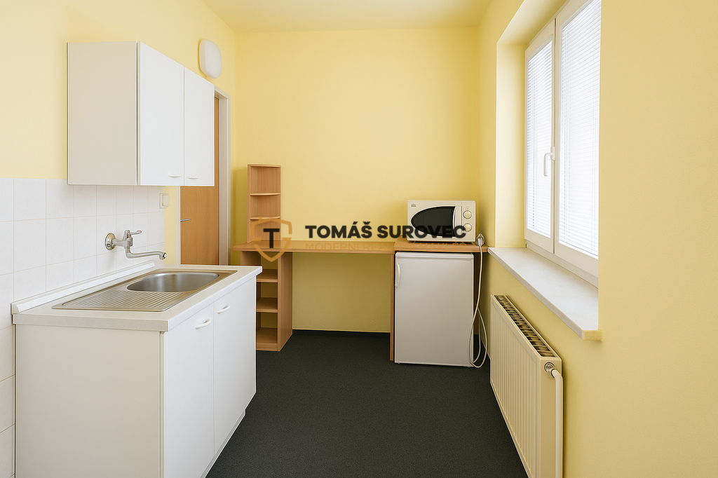 pronajem-bytu-1-1-stefanikova-1.png