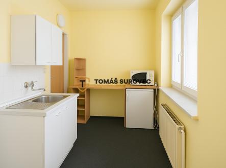 Pronájem bytu, 1+1, 28 m²