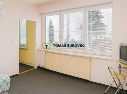 Pronájem bytu, 1+1, 28 m²