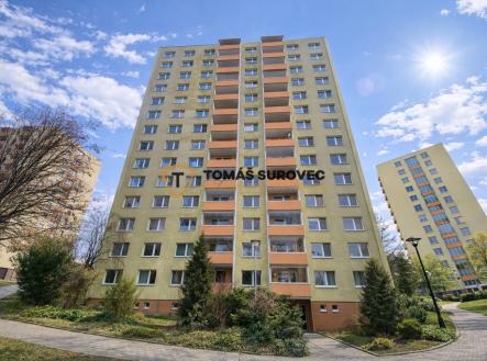 Pronájem bytu, 1+kk, 29 m²