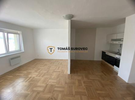 Pronájem bytu, 1+kk, 46 m²