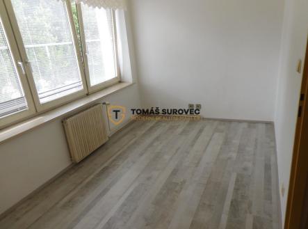 Pronájem bytu, 1+kk, 19 m²