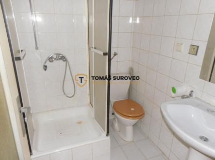 Pronájem bytu, 1+kk, 19 m²