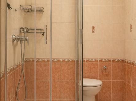 Prodej bytu, 1+kk, 28 m²