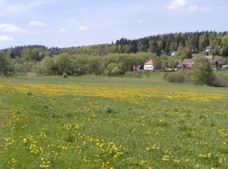 Nemovitost