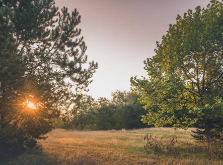 Prodej pozemku, ostatní, 121 799 m²