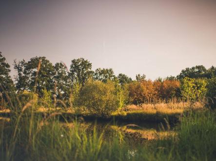 Prodej pozemku, ostatní, 121 799 m²