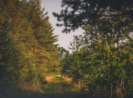 Prodej pozemku, ostatní, 121 799 m²