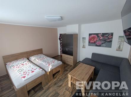 Pronájem bytu, 1+kk, 18 m²