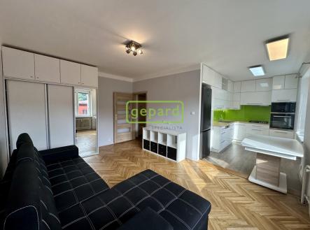 Pronájem bytu, 2+1, 52 m²