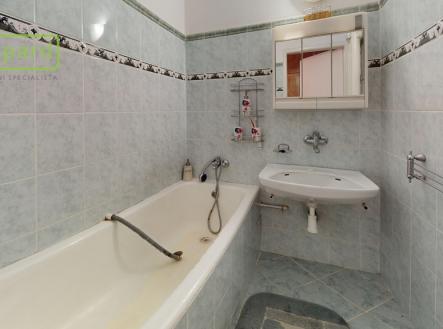 byt-31-svojsikova-29-teplice-bathroom.jpg