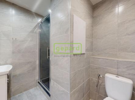 Pronájem bytu, 1+1, 36 m²