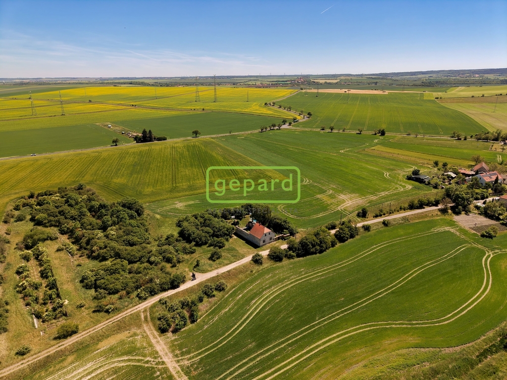 dji-20260529125921-0145-d.jpg