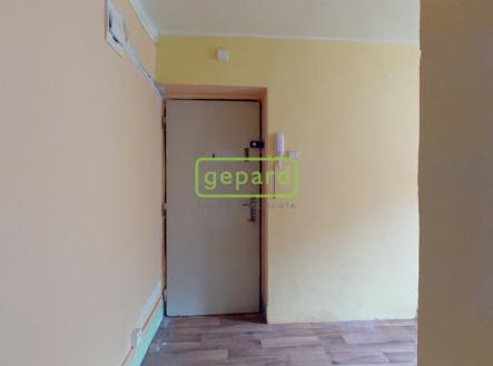 byt-21-na-rekonstrukci-dle-vlastnich-predstav-americka-17-teplice-10192025-141449.jpg