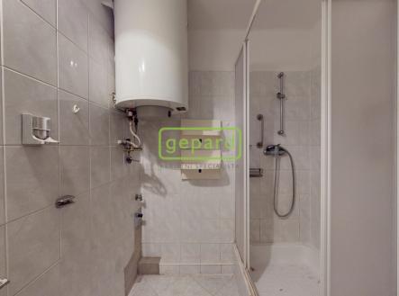 byt-21-na-rekonstrukci-dle-vlastnich-predstav-americka-17-teplice-10192025-141753.jpg