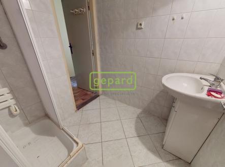 byt-21-na-rekonstrukci-dle-vlastnich-predstav-americka-17-teplice-10192025-141836.jpg