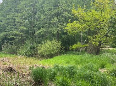 Prodej - pozemek, les, 8 015 m²