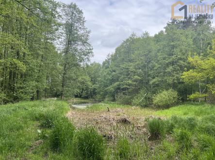 Prodej - pozemek, les, 8 015 m²