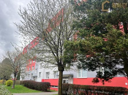 Pronájem bytu, 3+1, 78 m²