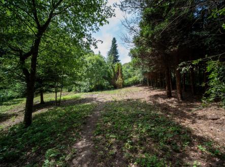 Prodej pozemku, ostatní, 1 486 m²
